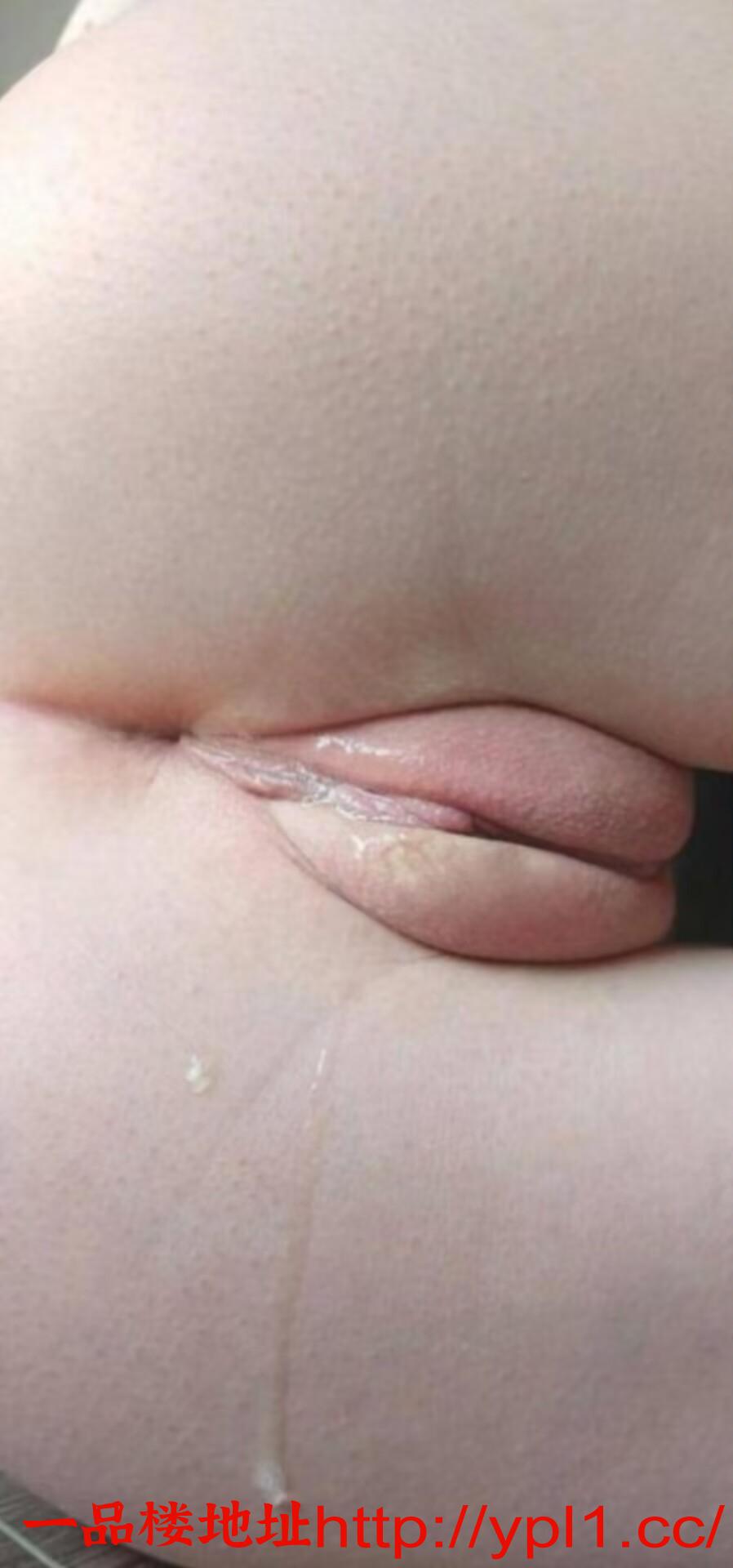 haiou_chat_1486340256675663872_86e4e4d91367843db99276fabf4259de.jpeg